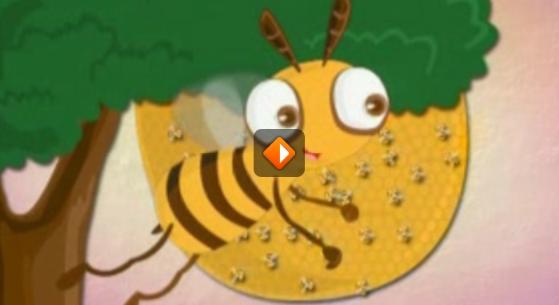 thumbnail - Hoe maken bijen honing? Ieder zijn taak